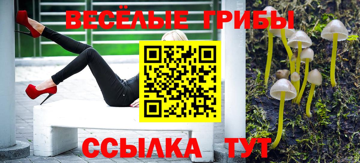 где продают наркотики  Вход с VPN  Спасск-Дальний  Псилоцибиновые грибы мухоморы  Галлюциногенные грибы Psilocybine cubensis 